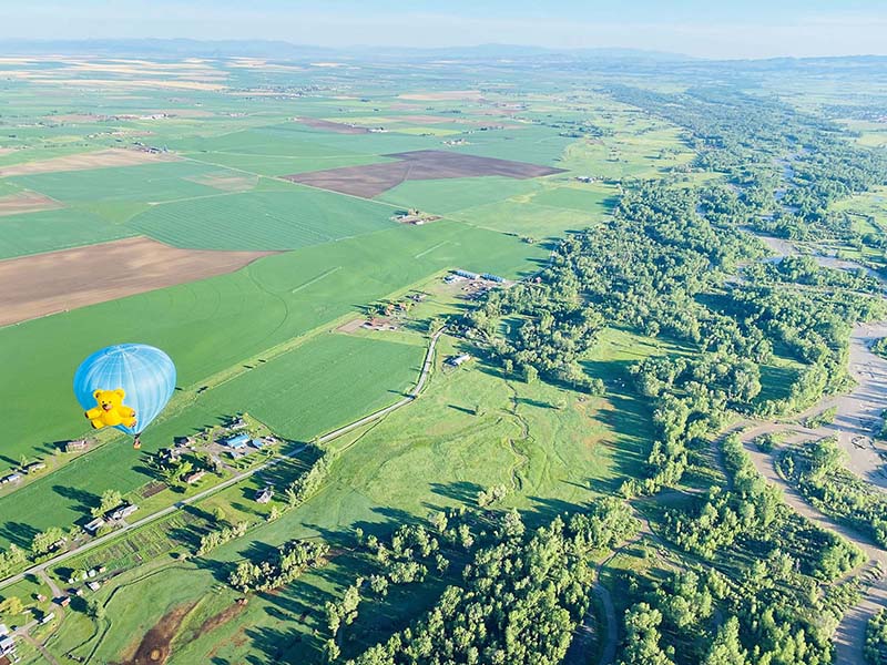 gallatin valley montana teddy bear hot air balloon ride
